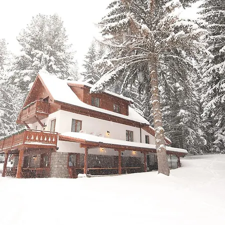 Σαλέ Chalet The Forest *